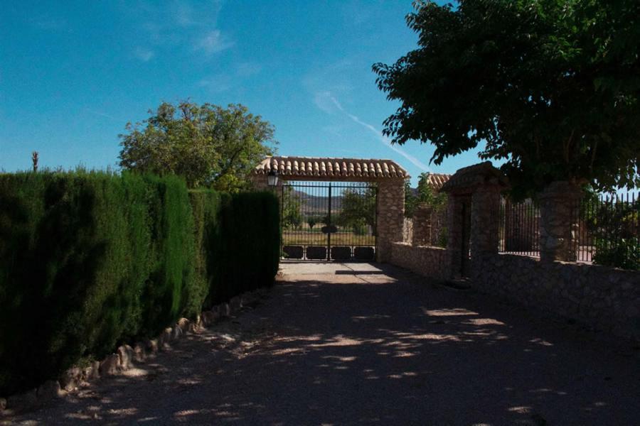 Cortijo De Abajo Villa Puebla De Don Fadrique Exterior photo